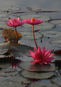 danau dendam_tegak berdiri atau tidak