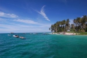 2166_1050343311881_8471_n