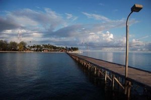 2236_1049425728942_8385_n