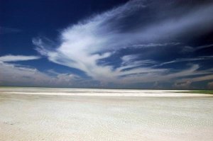 2236_1049425848945_8927_n