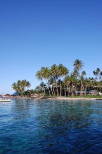 2236_1049425928947_9320_n