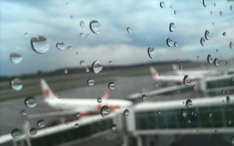 P_20150322_154254_1.jpg image